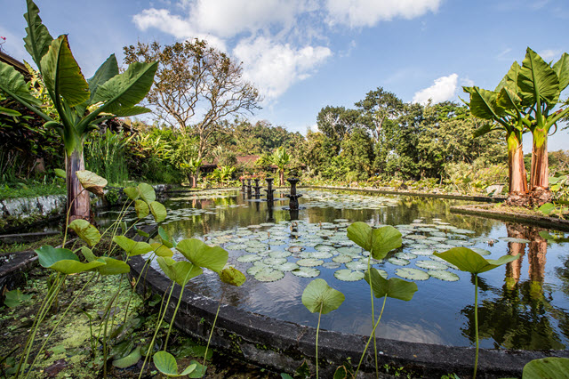 Système d&rsquo;irrigation traditionnel à Bali