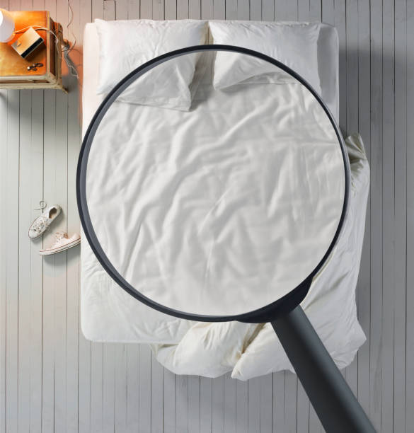 3 Conseils pour se débarrasser des punaises de lit