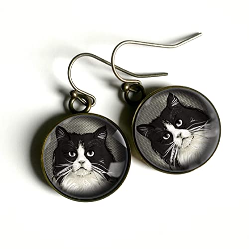 Comment entretenir ses boucles d&rsquo;oreilles chat ?