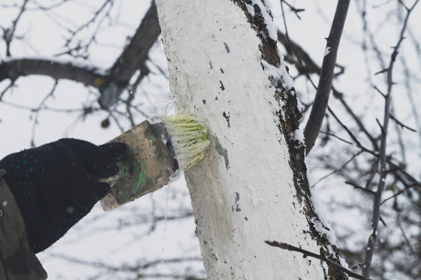 Quels sont les insectes ravageurs à surveiller pendant l&rsquo;hiver ?