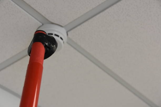 Dois-je, en plus des détecteurs de mon alarme, placer un autre détecteur pour commander les lumières domotisées ?